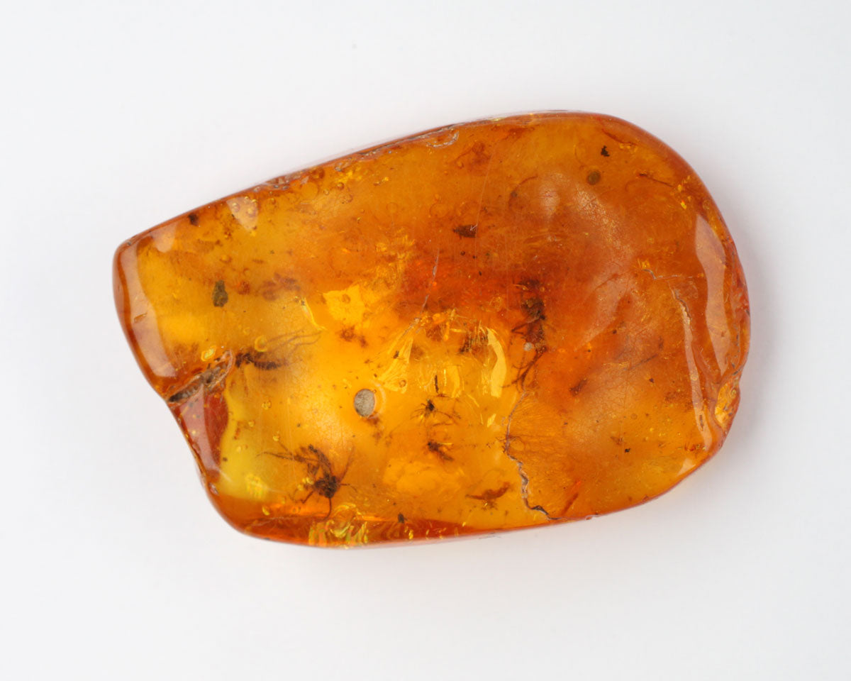 Polerad baltisk bärnsten med insekt 33mm 20 ct