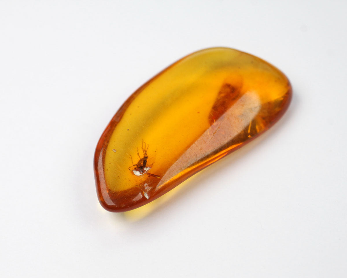 Polerad baltisk Bärnsten med insekt 31mm 9 ct