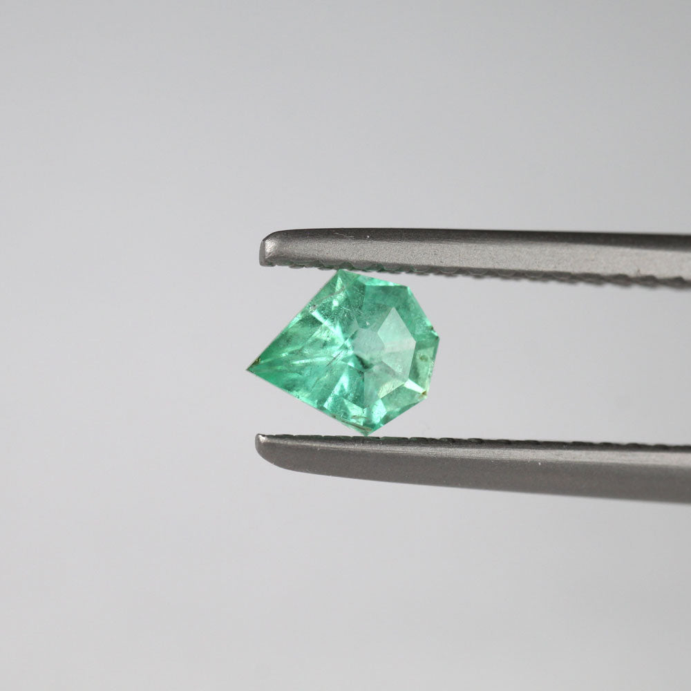 Shakiso Emerald dragonfly cut 0.3 ct