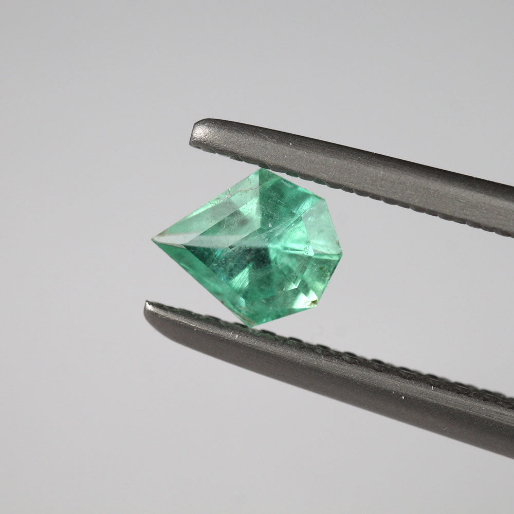 Shakiso Emerald dragonfly cut 0.3 ct