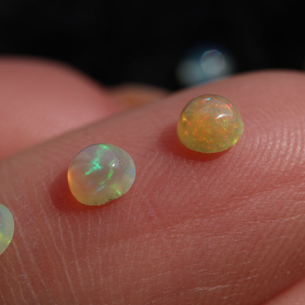 Wollo opal 3,6 mm