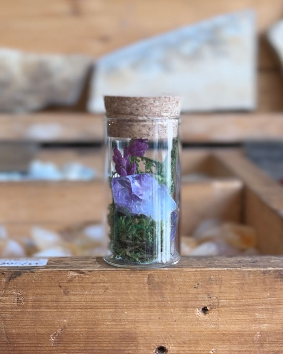Kristall terrarium
