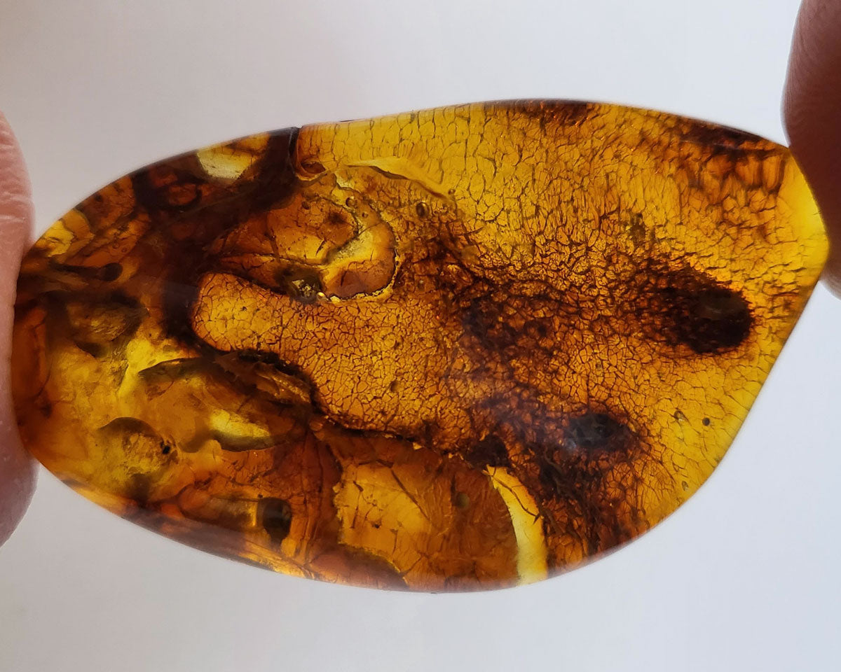 Polished Baltic Amber 9.6 gr