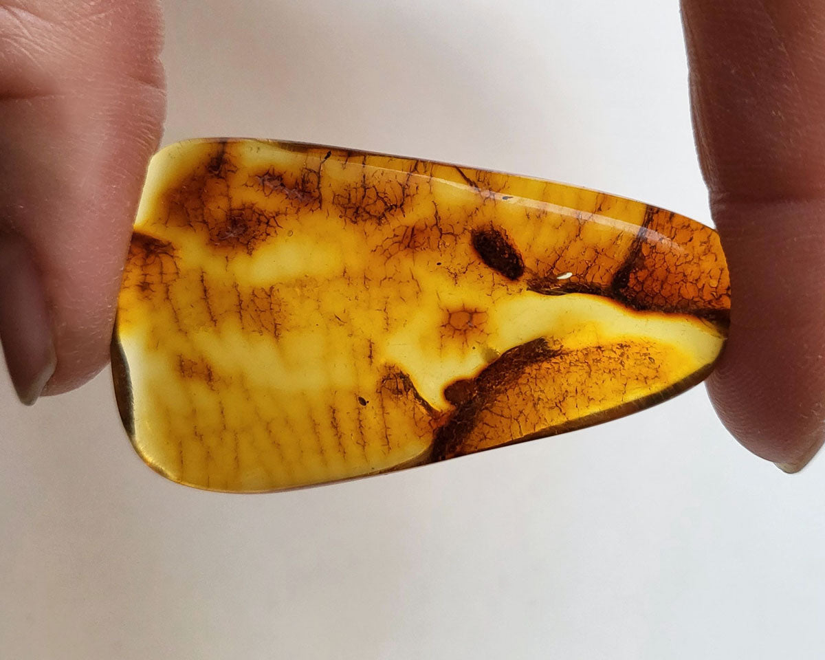 Polished Baltic Amber 8 gr