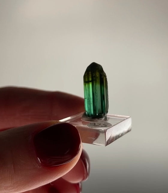 Ethiopian Tourmaline Crystal #2