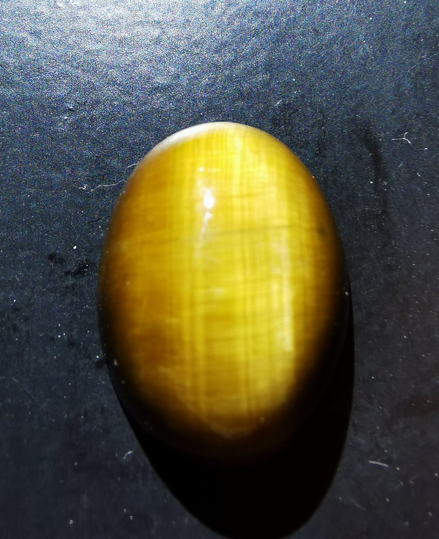 Tiger Eye Oval 19 ct