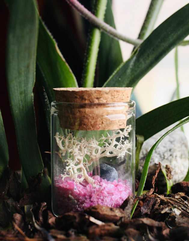 ruby and sapphire terrarium
