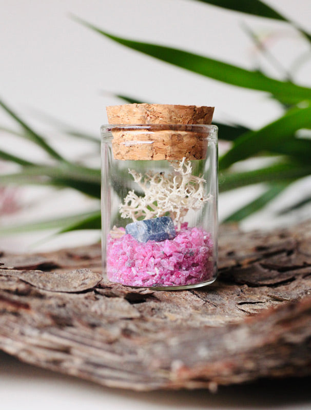 ruby and sapphire terrarium