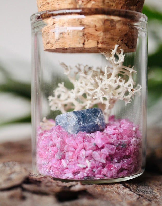 ruby and sapphire terrarium