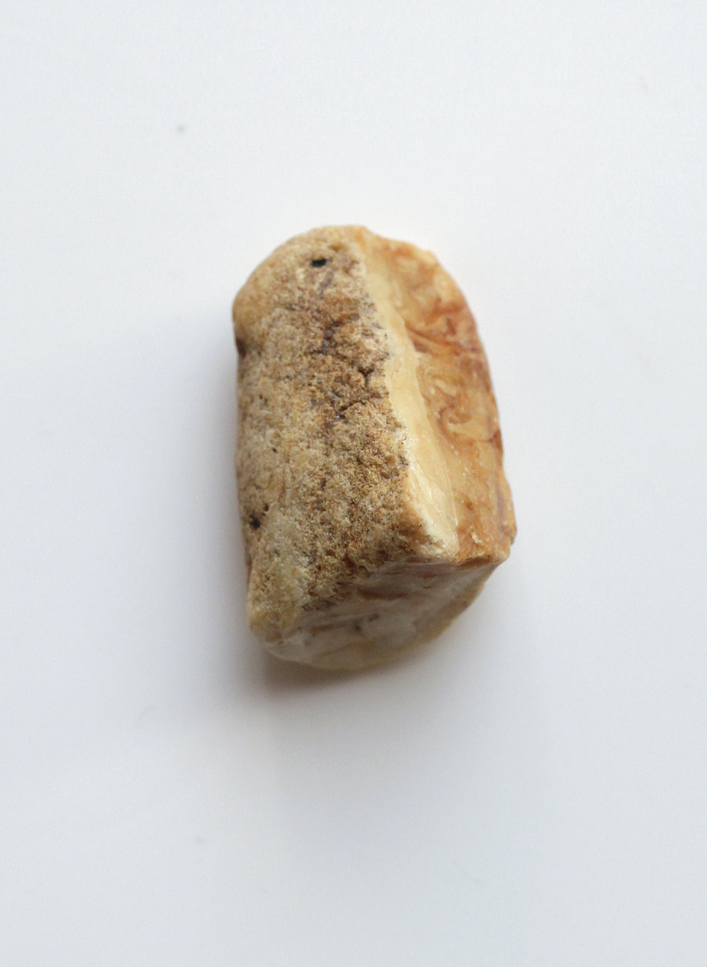 Baltic amber opaque