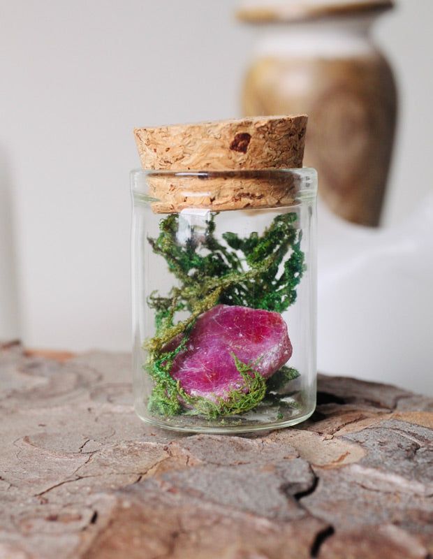 Rubin terrarium