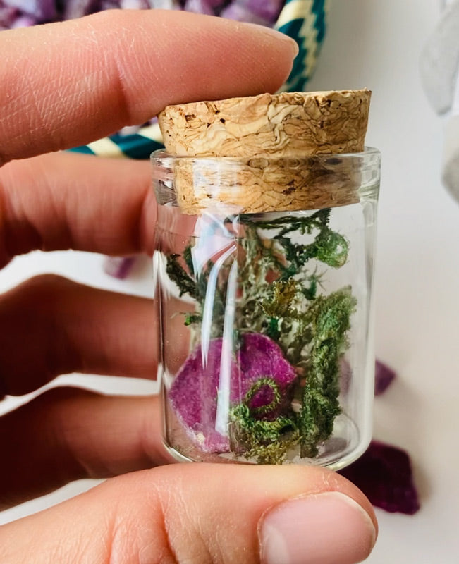 Rubin terrarium