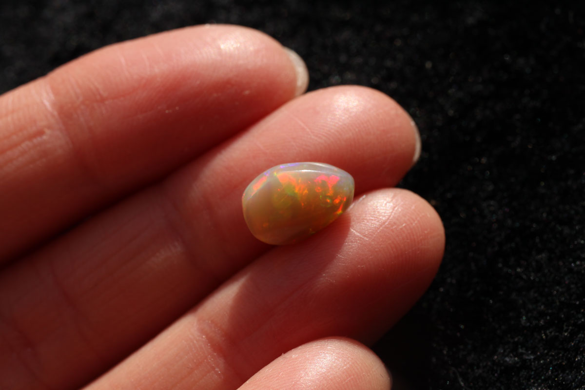 Wollo Opal 1.5 ct