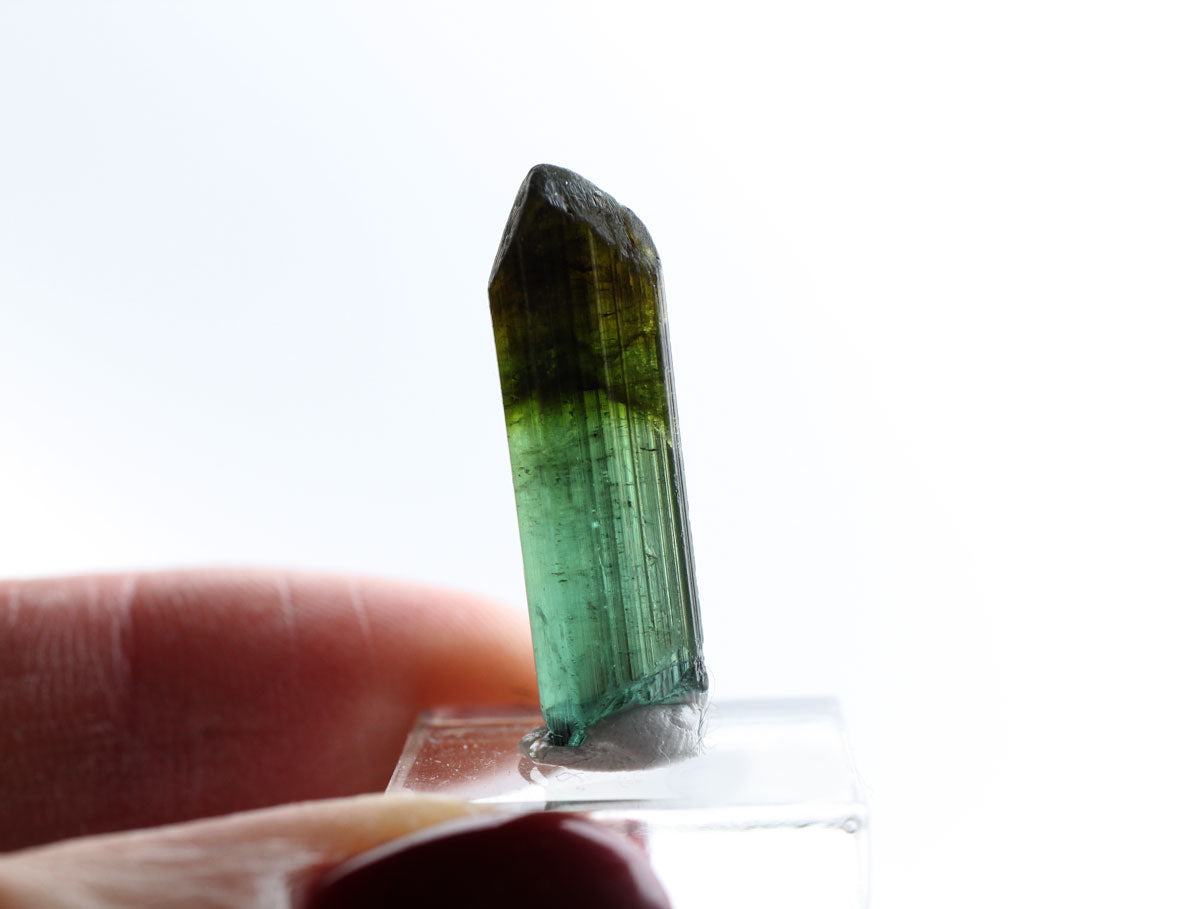 Turmalinkristall #5
