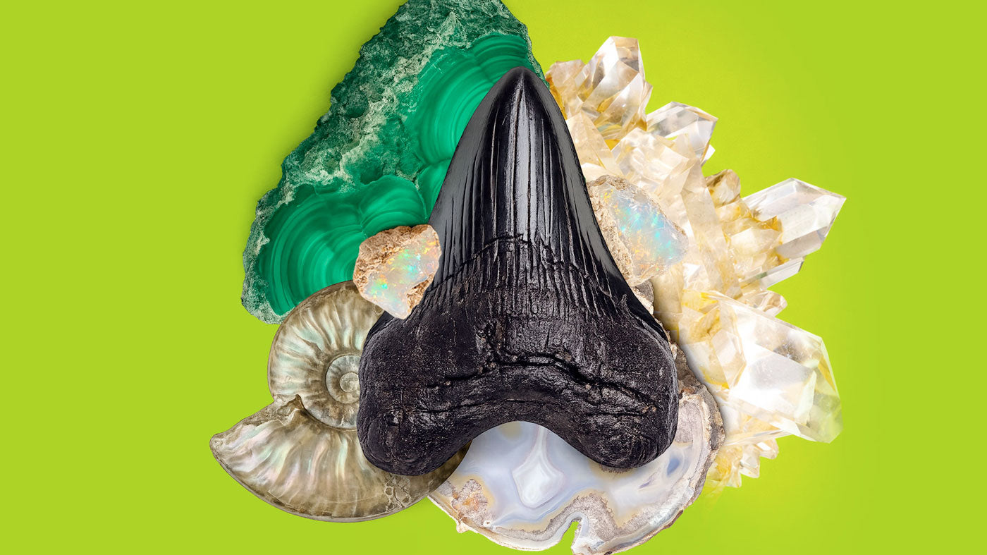 Collage with megalodon tooth, rough opals, rock crystal, agate, ammonite and malachite on green bckground