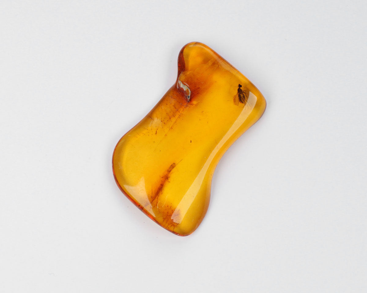 Polished Baltic Amber with Insect 37mm 18 ct