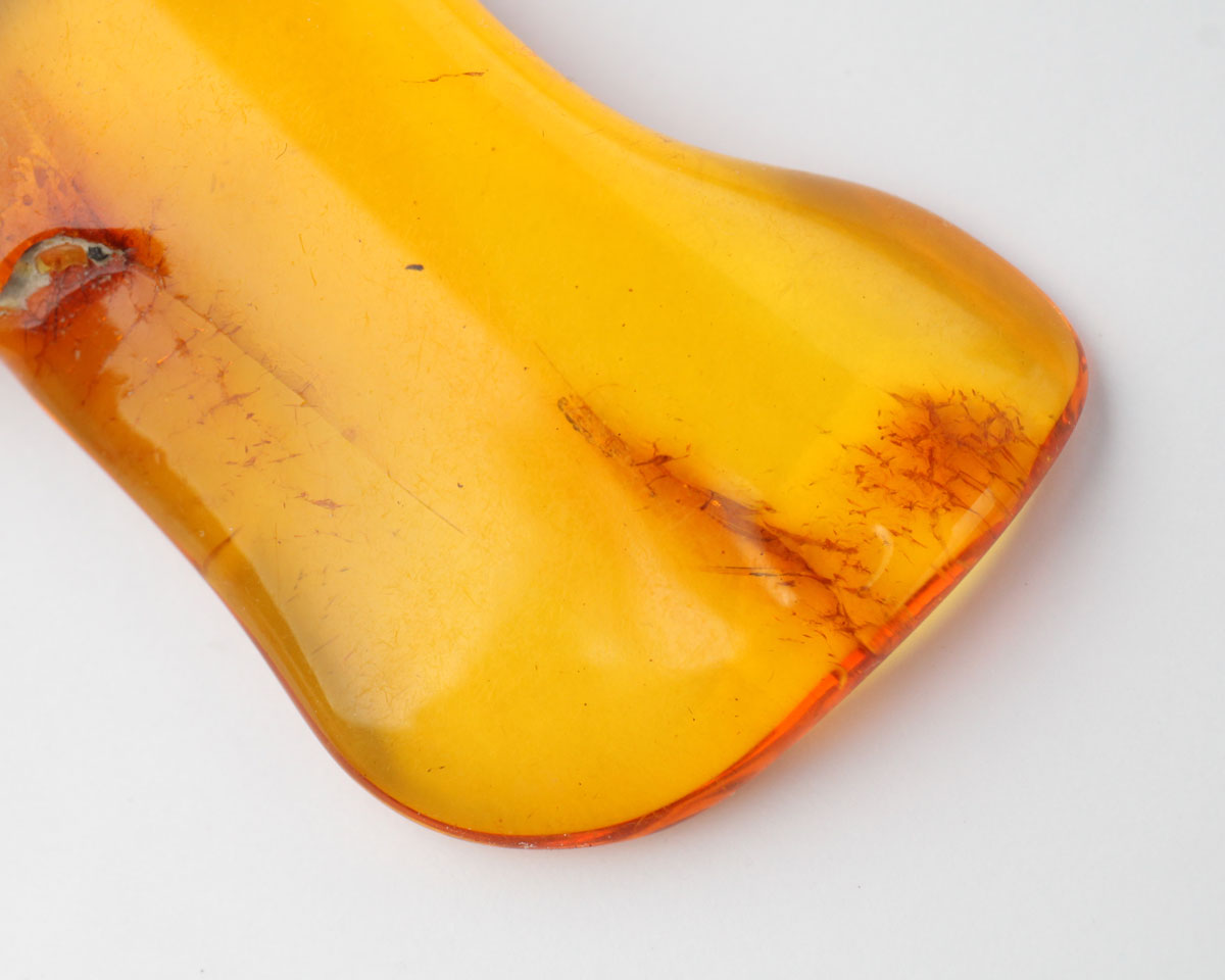 Polished Baltic Amber with Insect 37mm 18 ct