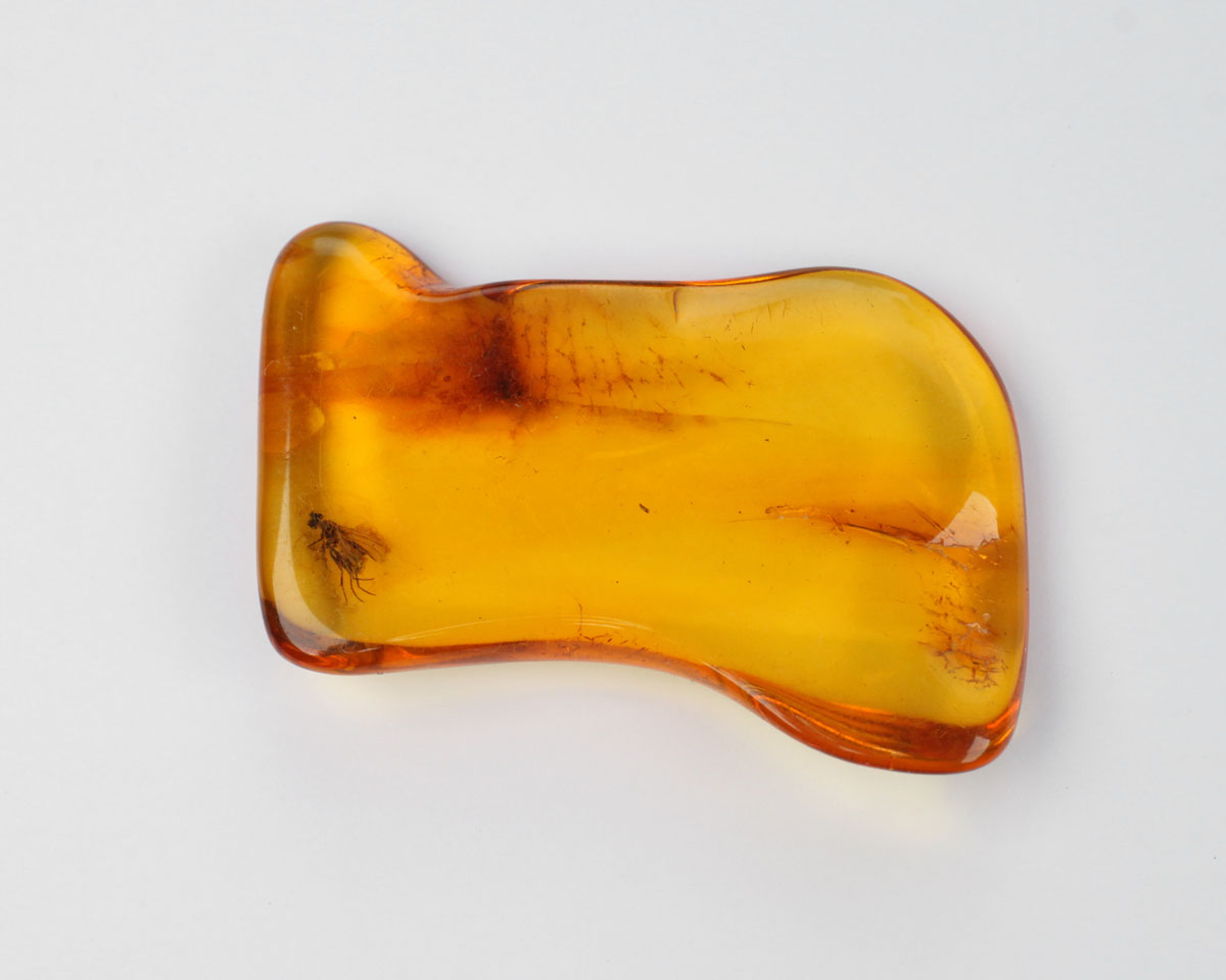 Polished Baltic Amber with Insect 37mm 18 ct