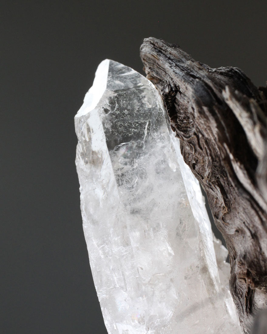 Rock crystal with a wood branch on a gray background