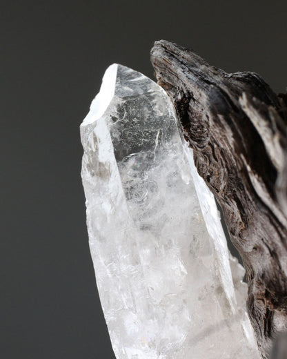 Rock crystal with a wood branch on a gray background