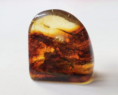 Polished Baltic Amber 16.2 gr