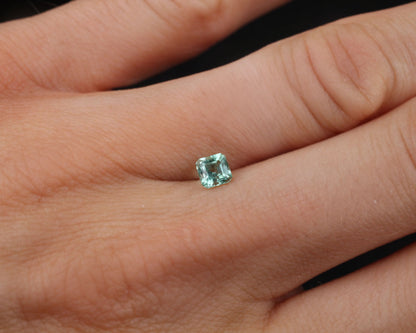 Shakiso Emerald octagon 0.38 ct