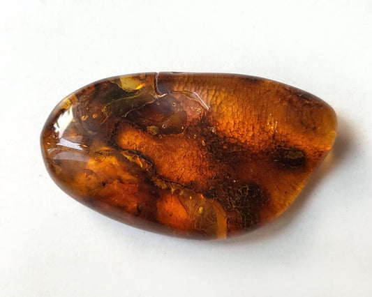 Polished Baltic Amber 9.6 gr