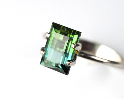Bicolor Tourmaline 2,75 ct