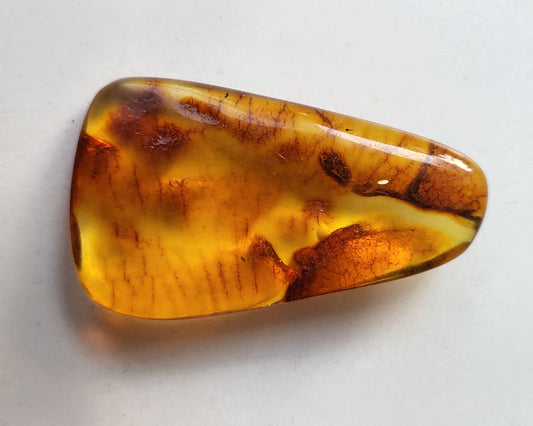 Polished Baltic Amber 8 gr