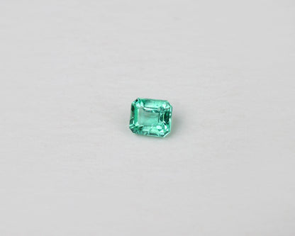 Shakiso Emerald square 0,14 ct