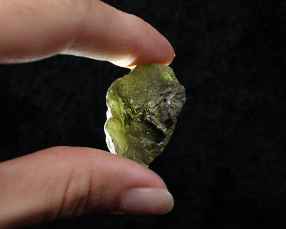 Moldavite 9.9 gr