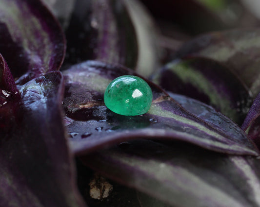 Cabochon cut Shakiso Emerald 9.5mm 3.8 ct