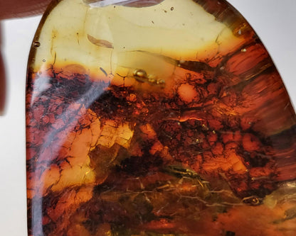 Polished Baltic Amber 16.2 gr