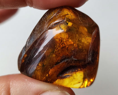 Polished Baltic Amber 13.3 gr