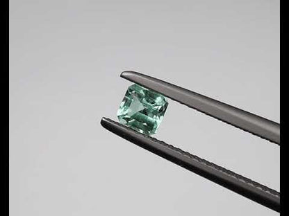 Shakiso Emerald octagon 0.38 ct