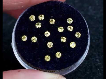 Yellow calibrated sapphires 2mm 0.05 ct