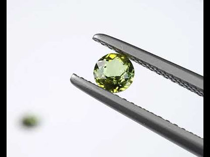 Tourmaline green round 4 mm pair 0.58 ct total