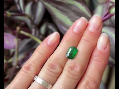 Shakiso Emerald 11x7.5 mm emerald cut 3 ct