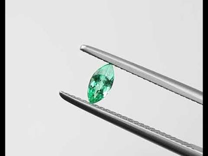 Shakiso Emerald Marquize 0,23 ct