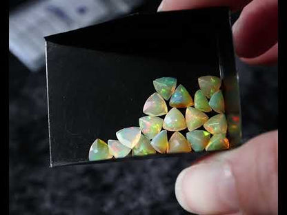 Wollo Opal trillion 6 mm Fire