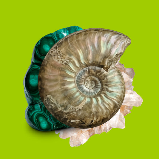 1 inomhusbord på Dunkersmässan 2026