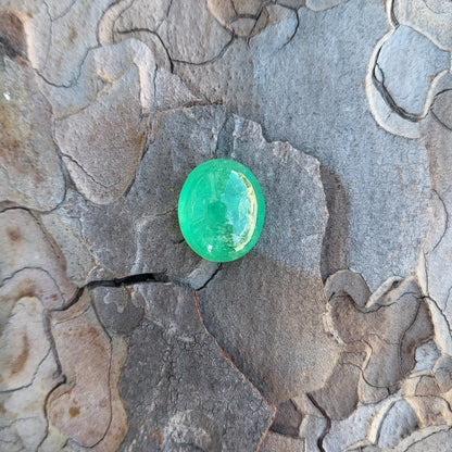 Colombian Emerald oval 12.7 ct