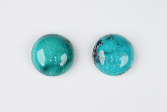 Turquoise Round Pair 19.1 ct