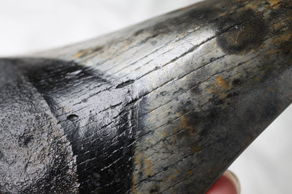Black Megalodon Tooth